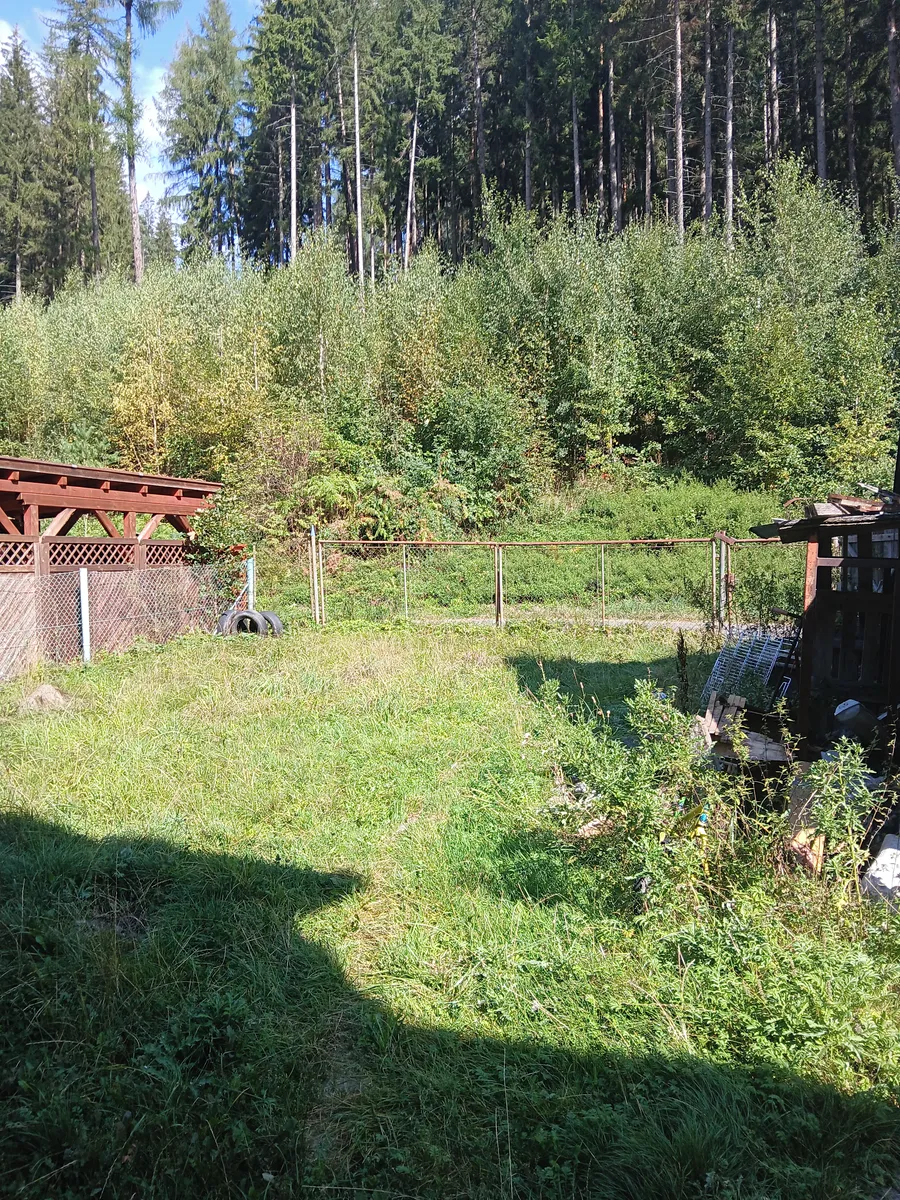 Fotka 14 z 15